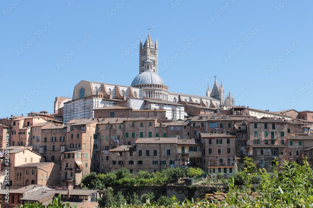 View with the Siena Cathedral in the background