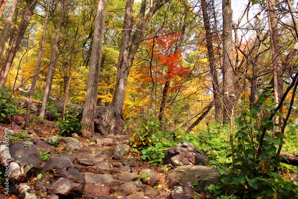 Wisconsin ice age nature background. Autumn scenic view with rocky hiking trail between colorful trees in the forest at Devil’s Lake State Park, Baraboo area, Wisconsin, Midwest USA. Wisconsin ice age nature background. Autumn scenic view with rocky hiking trail between colorful trees in the forest at Devil’s Lake State Park, Baraboo area, Wisconsin, Midwest USA.
