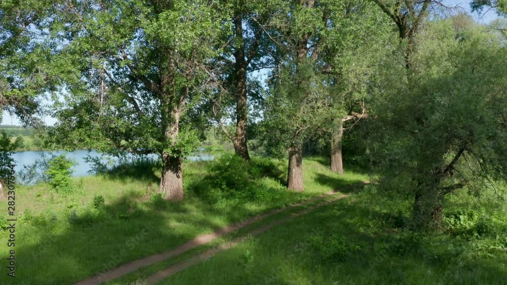 The pull away shot from the shore of the lake. View of the lake through the trees on the shore. Near a country road. The pull away shot from the shore of the lake. View of the lake through the trees on the shore. Near a country road.