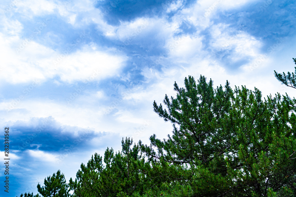 Obraz premium Landscape from anatolian steppes