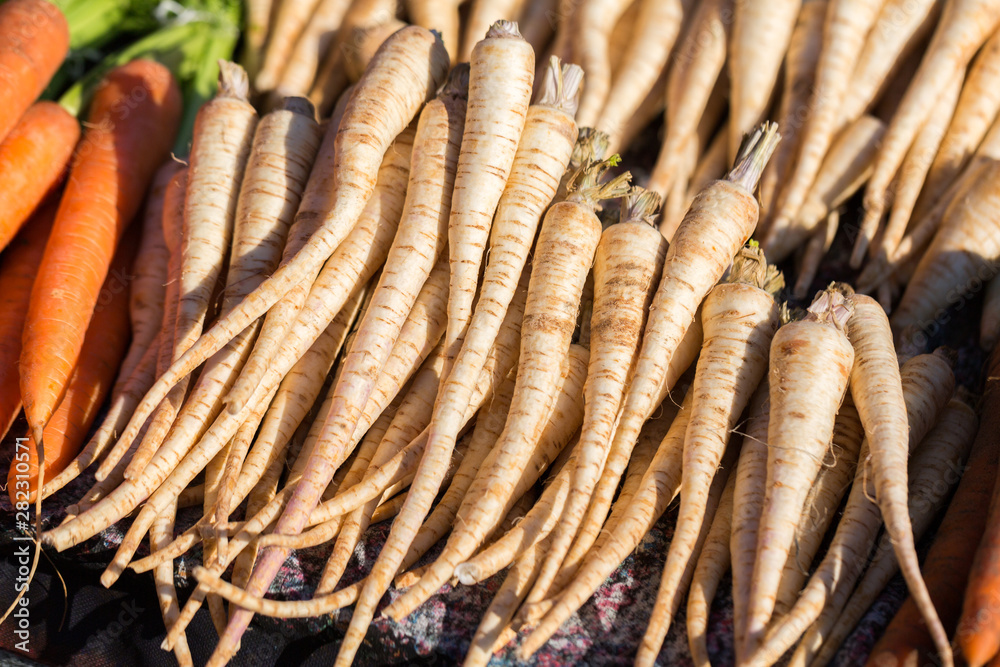 PRAID, ROMANIA - July 4, 2019: Close up of fresh, white carrots. On display for sale at the Praid weekly market. Usually carrots are of orange color, however white colored cultivars exist. PRAID, ROMANIA - July 4, 2019: Close up of fresh, white carrots. On display for sale at the Praid weekly market. Usually carrots are of orange color, however white colored cultivars exist.