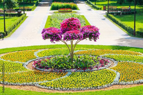 flowerbed with flowers in the park. Park in a European city photo