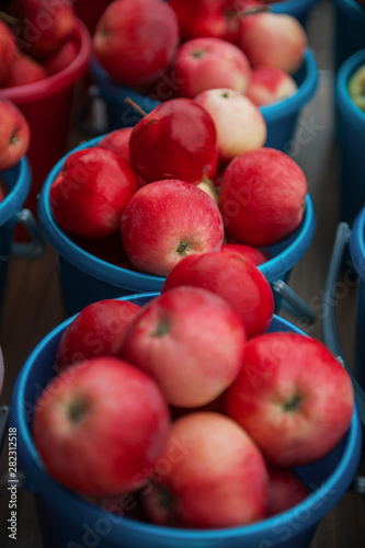 A bucket of freshly picked ...