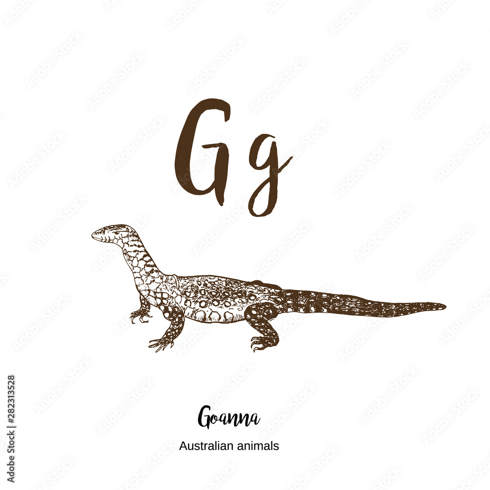 Goanna, A to z, alphabet sketch animals drawing vector illustration. Vintage hand drawn with lettering. Ready for print. Letter G for ABC. Stock Vector | Adobe Stock