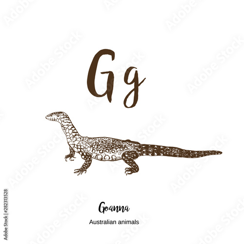 Goanna, A to z, alphabet sketch australian animals drawing vector illustration. Vintage hand drawn with lettering. Ready for print. Letter G for goanna. ABC.