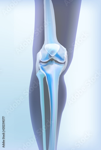 Light blue transparent view of bones the of knee