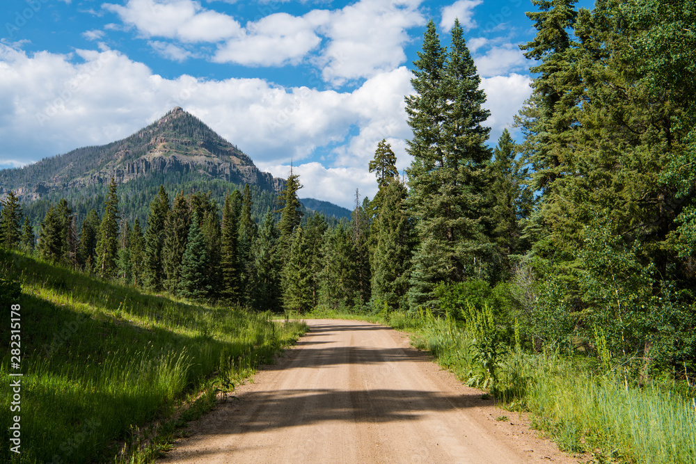 A dirt road curves through a grassy meadow and a forest of fir and spruce towards a high, pyramidal peak in the Rocky Mountains near Pagosa Springs, Colorado