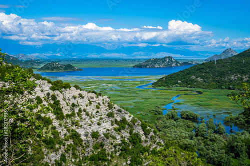 Montenegro, Endless wide view over green water lily covered waters of skadar lake until albania with blue sky in summer season