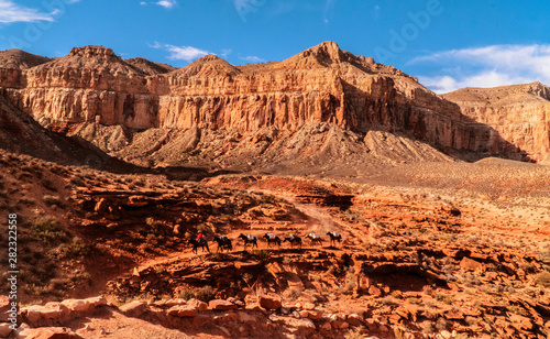 Horses Carrying Goods into Grand Canyon