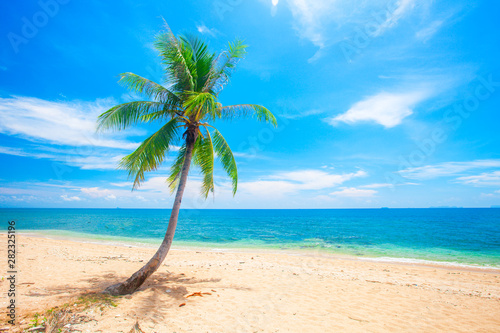 Fototapeta Naklejka Na Ścianę i Meble -  beach and coconut palm tree