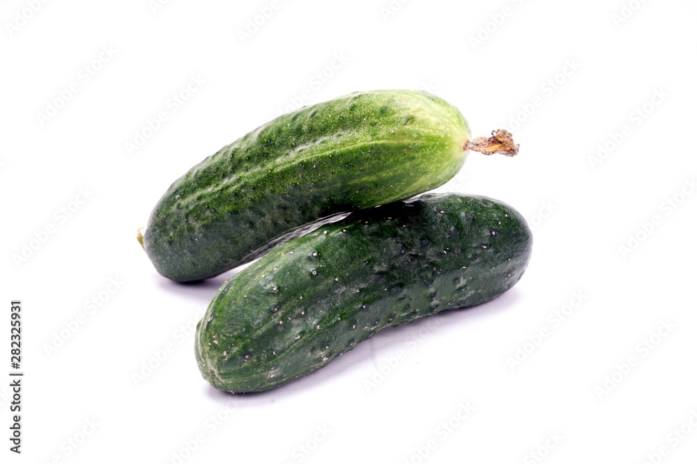 fresh ripe cucumber isolated on white background fresh ripe cucumber isolated on white background