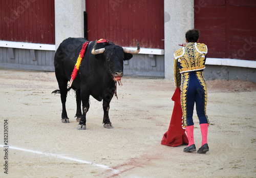 toro español