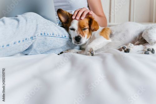 young caucasian woman on bed working on laptop. Cute small dog lying besides. Love for animals and technology concept. Lifestyle indoors