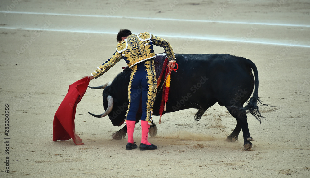 bullfight in spain bullfight in spain