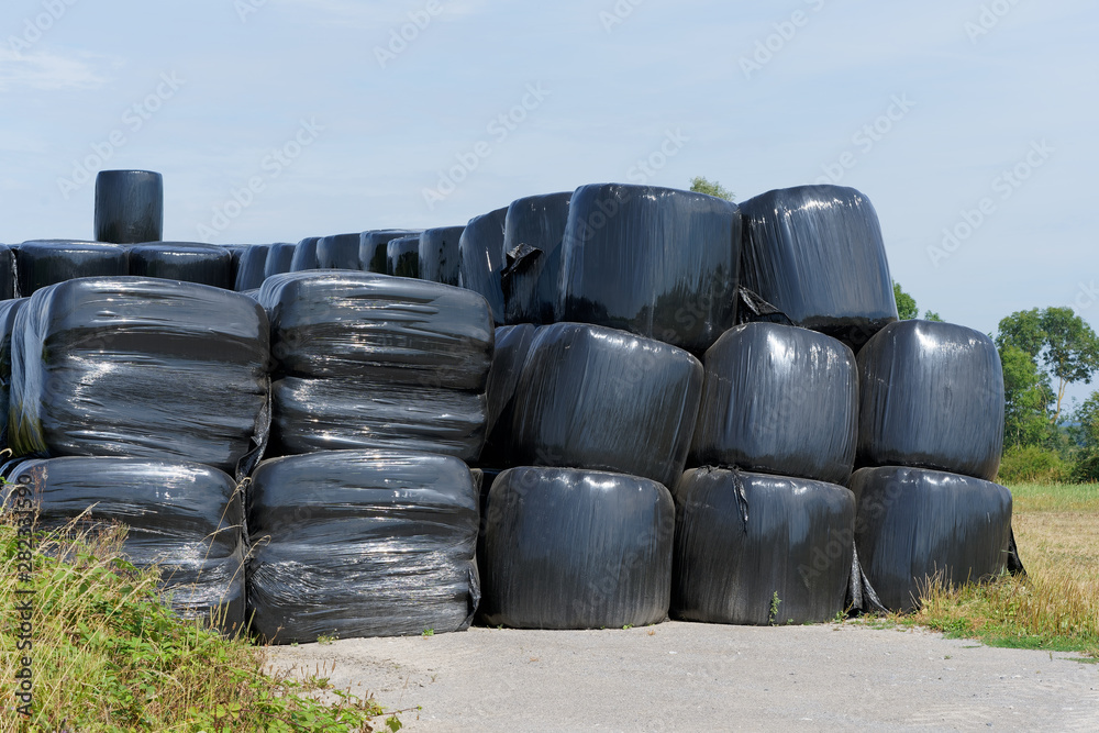Hay bales packed in black plastic to feed the cattle by winter Hay bales packed in black plastic to feed the cattle by winter