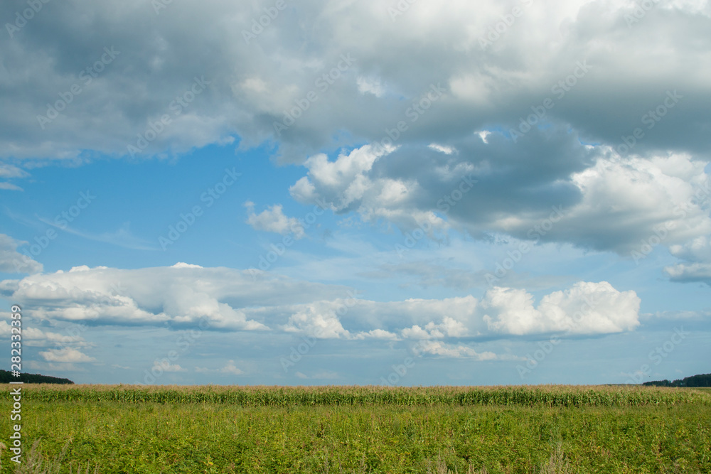Summer landscape with green field and blue sky Summer landscape with green field and blue sky