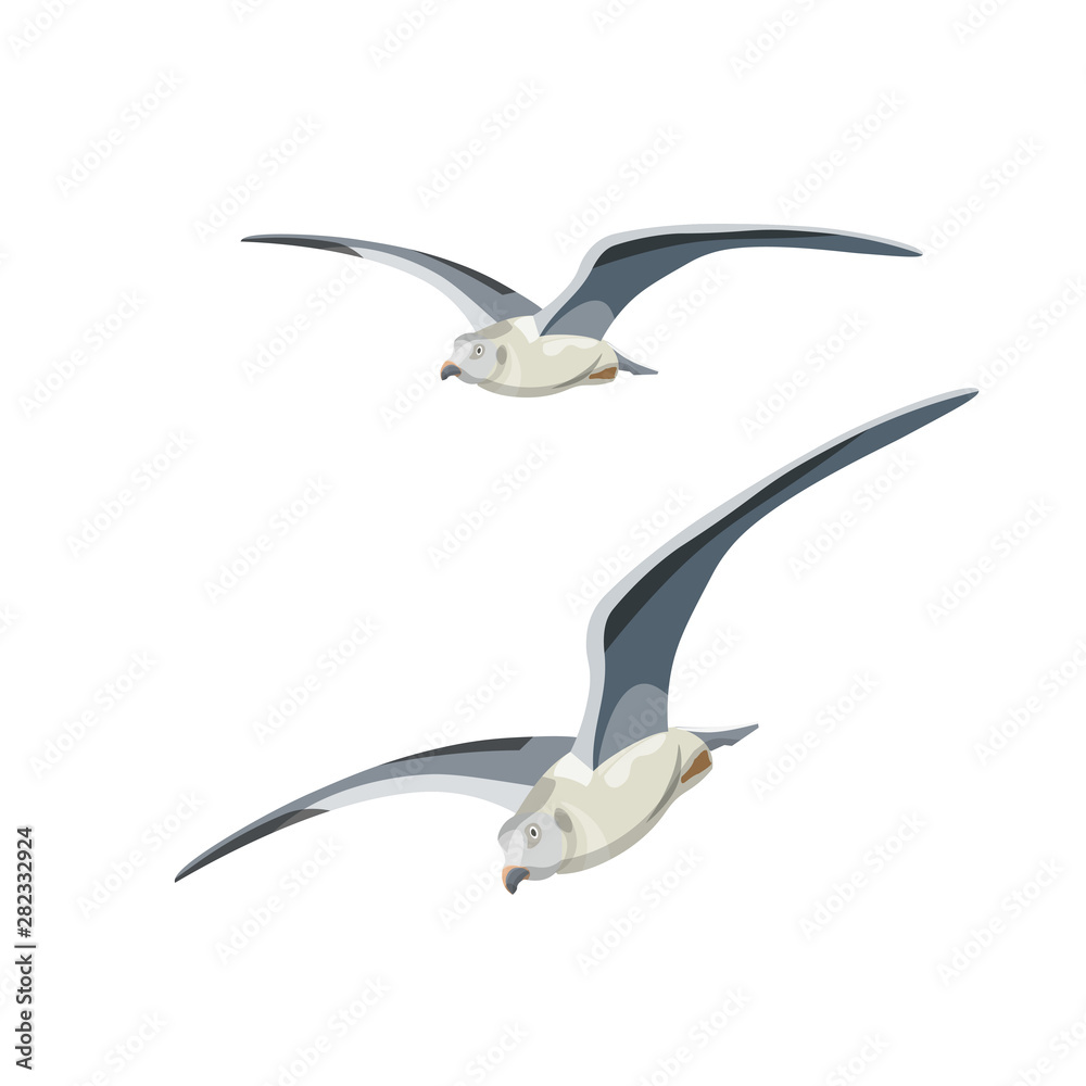 Fototapeta premium Flying seagulls vector