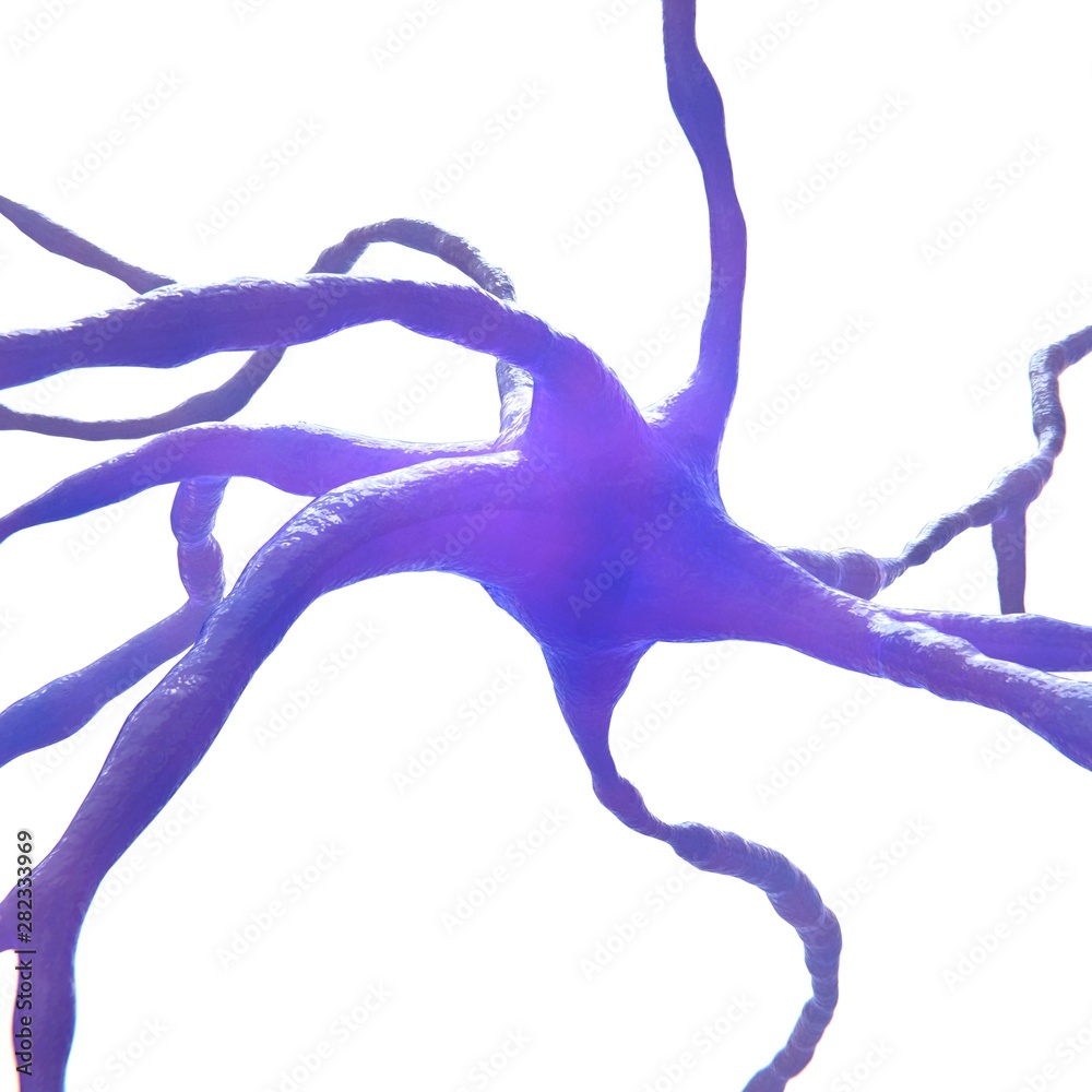 Fototapeta premium Neuron Cell isolated