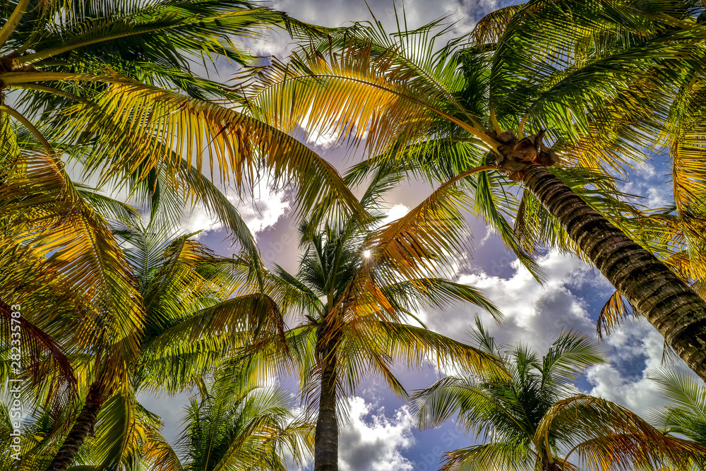 Fototapeta premium Roatan, Honduras
