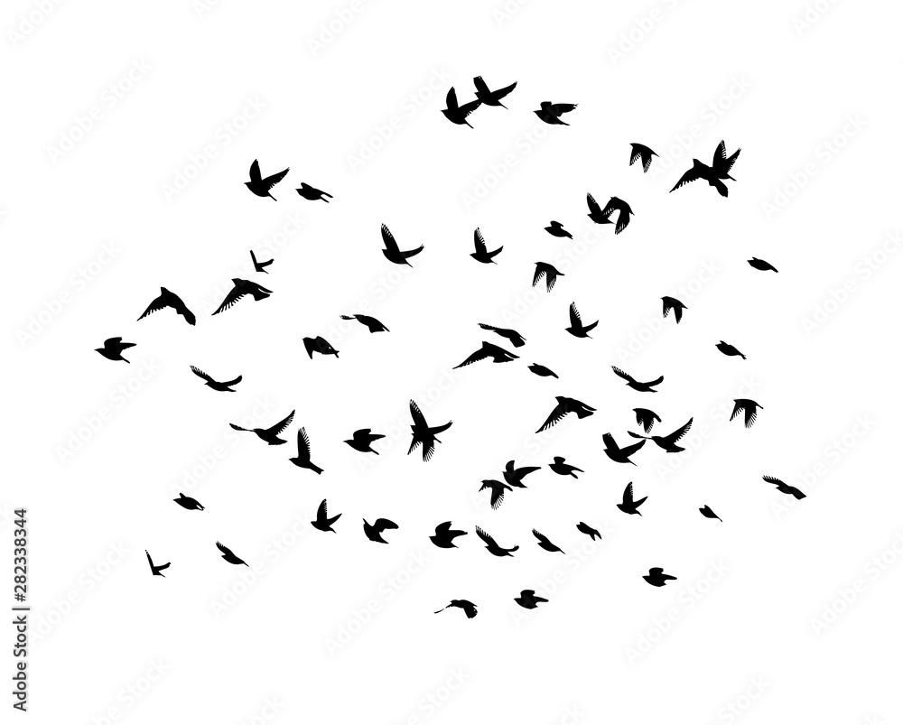 A flock of flying birds. Vector illustration A flock of flying birds. Vector illustration