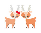 cute couple of deers on white background