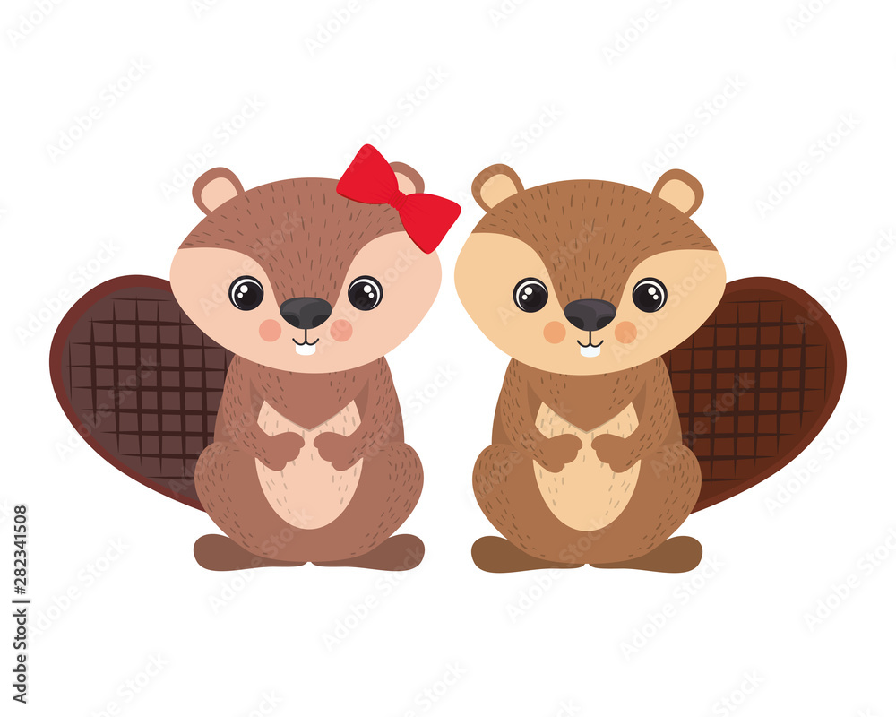 cute couple of chipmunk on white background