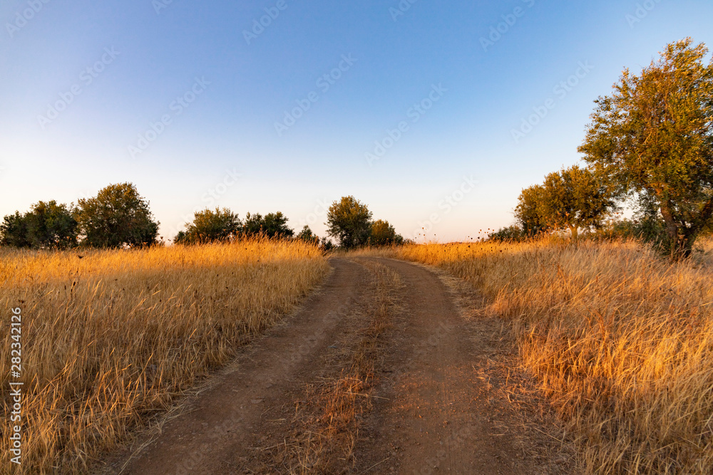 Fototapeta premium Pôr-do-sol no campo