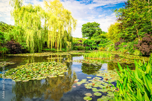 Fotografie Pond with lilies in Giverny