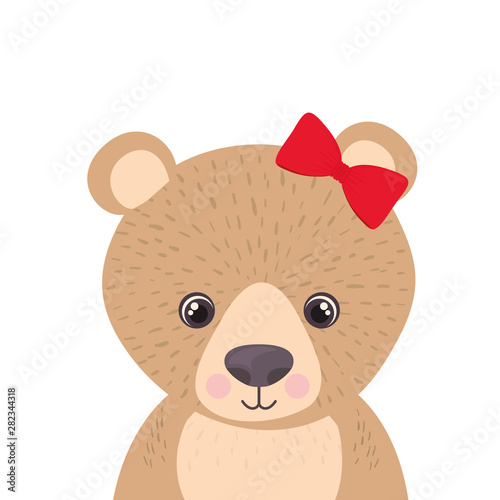 cute and adorable bear with frame