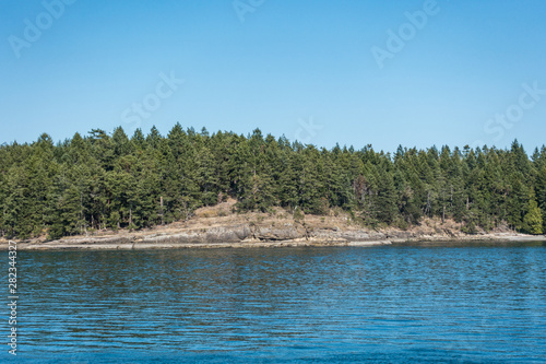 view of coast line covered with dense green forest on the island over the horizon under blue sky on a sunny day on the ocean