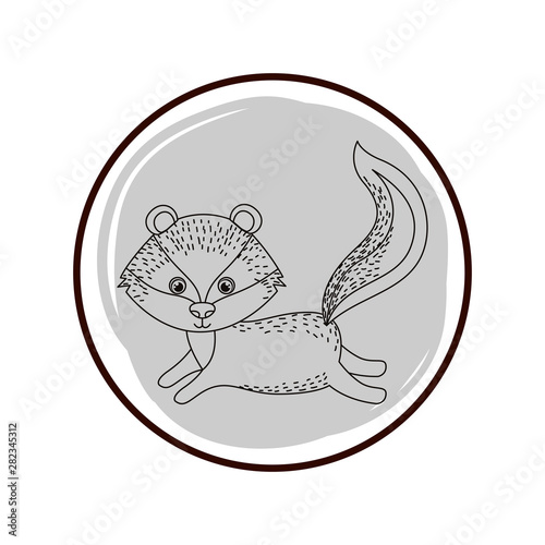 cute and adorable skunk with circular frame