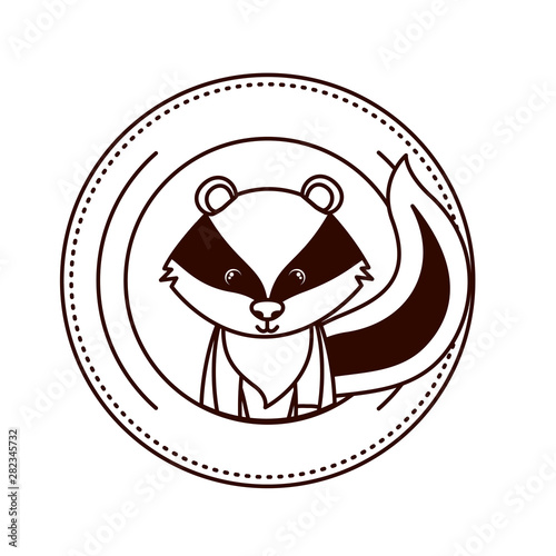 cute and adorable skunk with circular frame