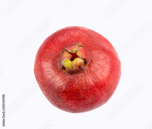 Psidium cattleianum - Strawberry guavas. White background photo