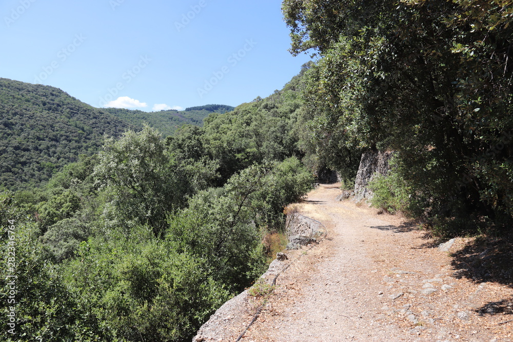 Chemin de randonnée dans les Cévennes	