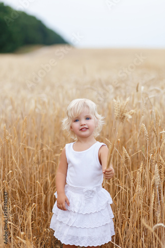  Portrait of handsome blond girl with blue eyes, face close up at summer time, in the wheat field. Cute little girl in the summer field of wheat. A child with a bouquet of wheat in his hands