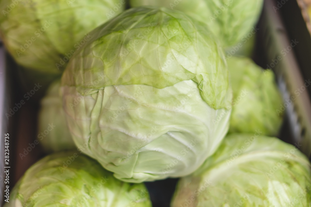 Fototapeta premium Group of green cabbages in a supermarket, Cabbage background. Selective focus