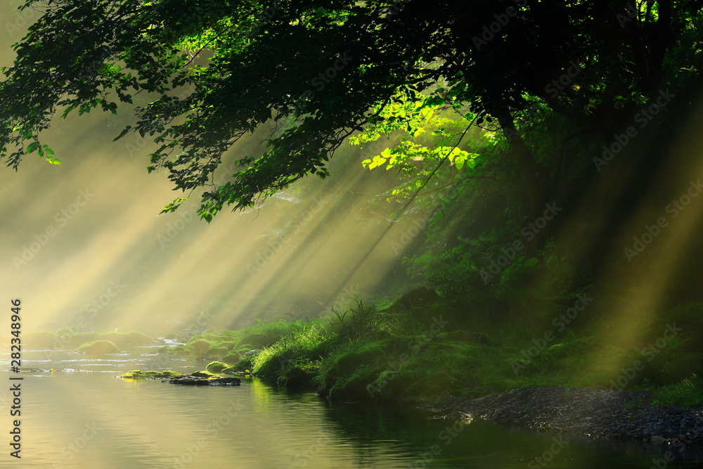 Obraz premium 岩手県 夏の渓流