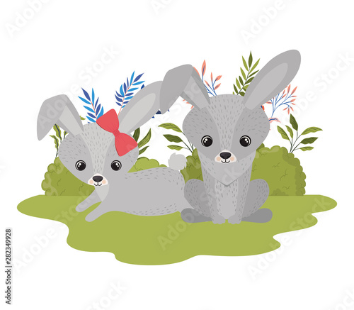 cute couple of rabbits with background landscape