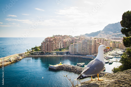 house beach sea ocean home building sky skyline blue door plants boat boats yacht yachting rich luxury luxe mountain gull sea beach city landscape sculpture town sunset sunrise clouds cloudy sunshine 