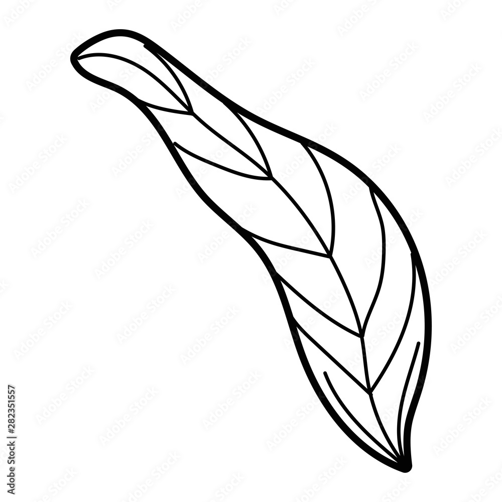 Isolated leaf design vector illustration Isolated leaf design vector illustration