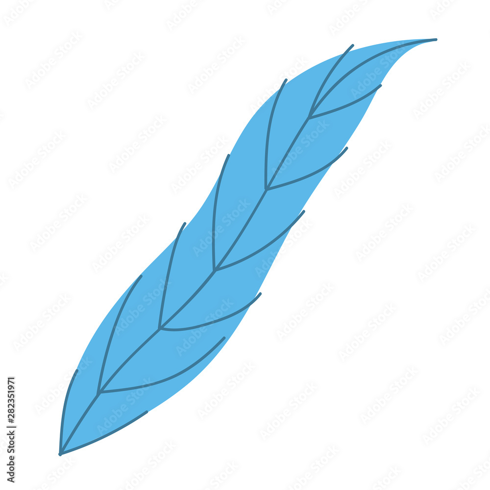 Isolated leaf design vector illustration Isolated leaf design vector illustration