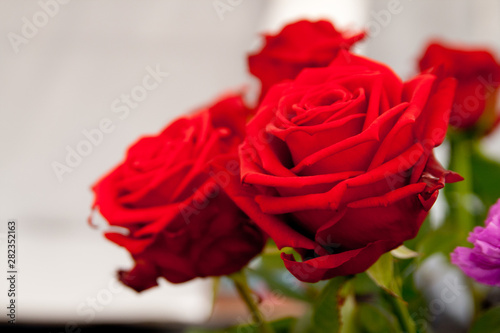 roses and pink flowers also red and smooth backround