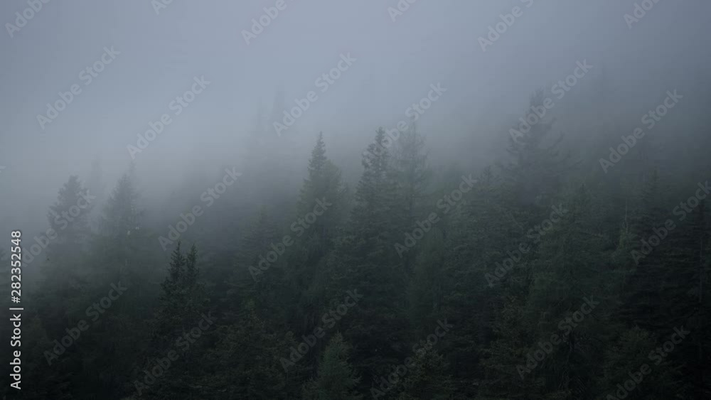 Italian Dolomites. Coniferous Forest Covered by Clouds. Italian Dolomites. Coniferous Forest Covered by Clouds.