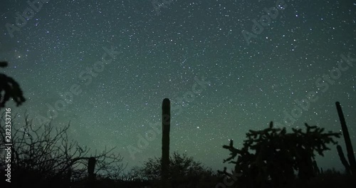 Sonoran Desert Meteor Shower Timelapse photo