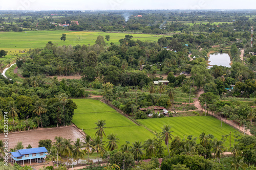 Above the forest in the village and green rice fields.