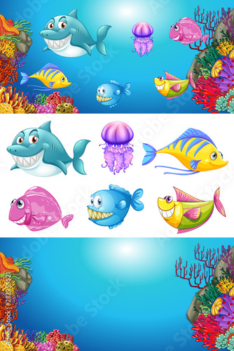 Background design with many sea animals