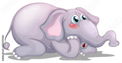 Sad elephant on white background