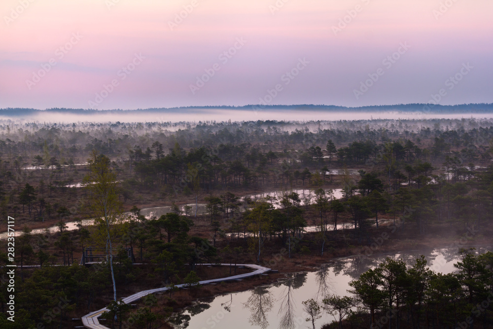 Scenic view of a fogy swamp in a morning