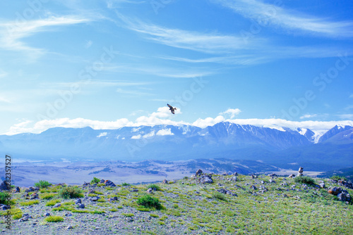 Landscape with mountains and eagle. Freedom concept. Copy space.