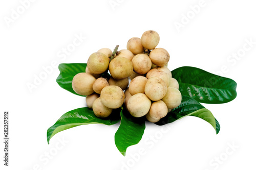  Longkong tropical fruit, Langsat, lanzones, Lansium parasiticum on a white background. - Image photo